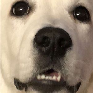 Meet your Posher, Cristina